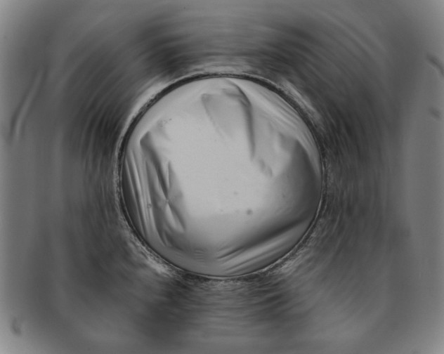 X0000091221240200708301444