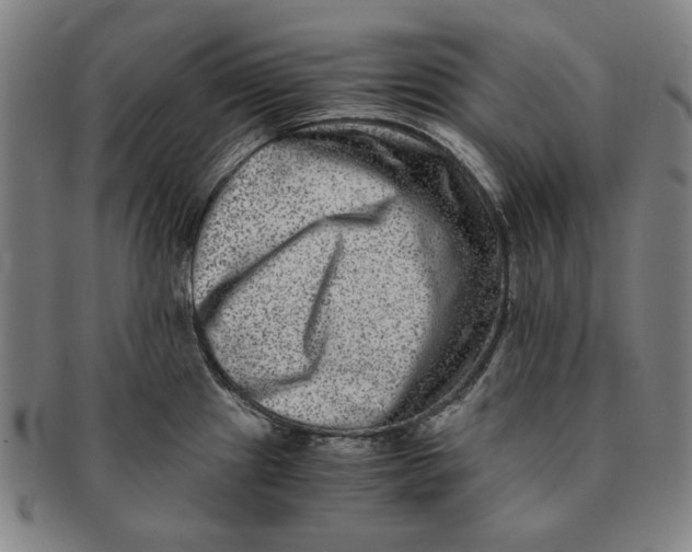 X0000091221241200708301444