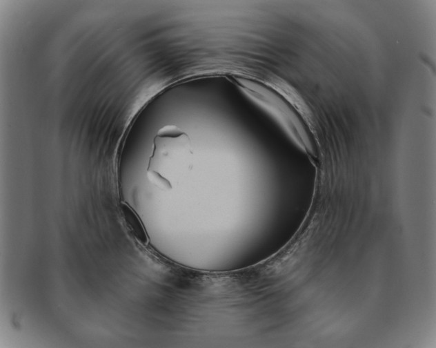 X0000091221242200708301444