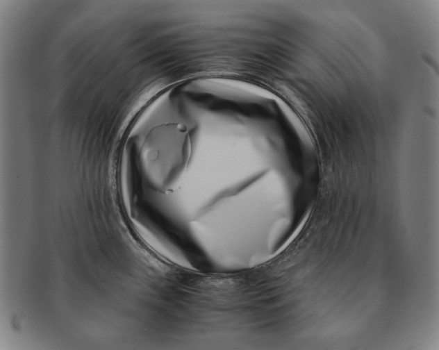 X0000091221243200708301444