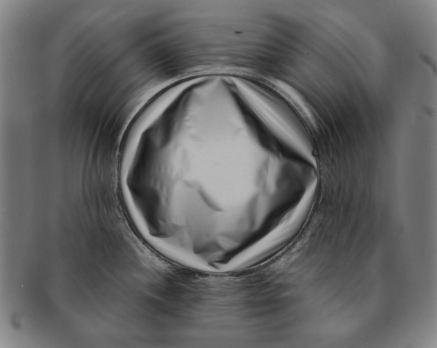 X0000091221244200708301444