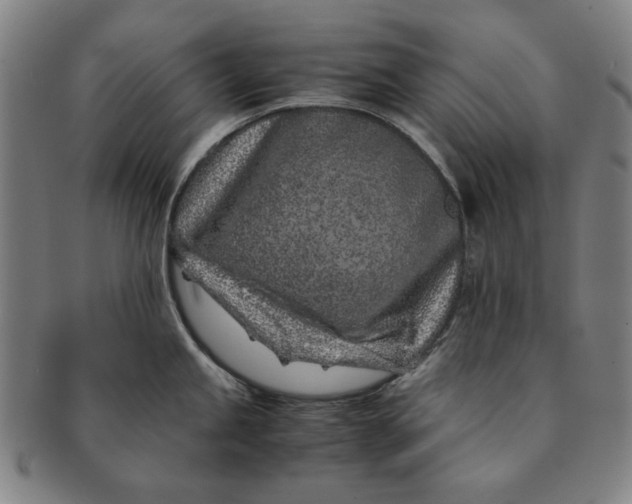 X0000091221245200708301444