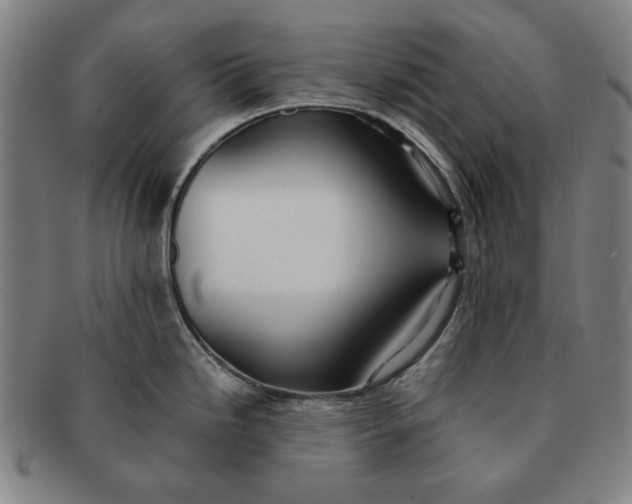 X0000091221246200708301444