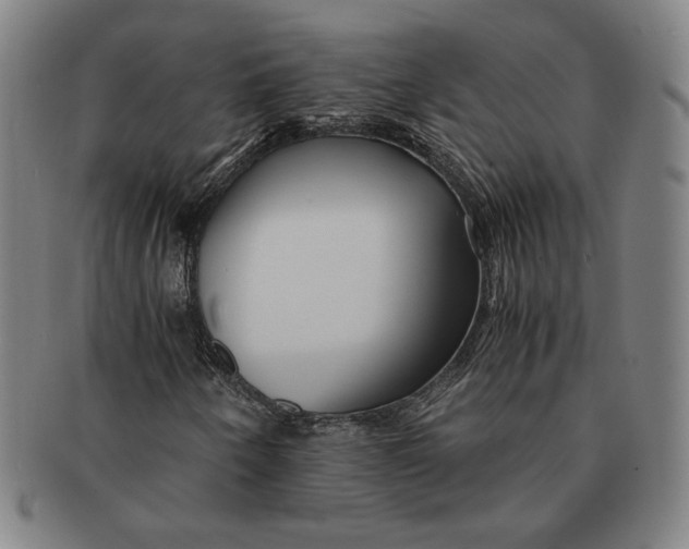 X0000091221250200708301443