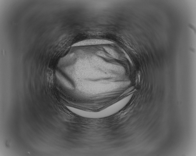 X0000091221251200708301443