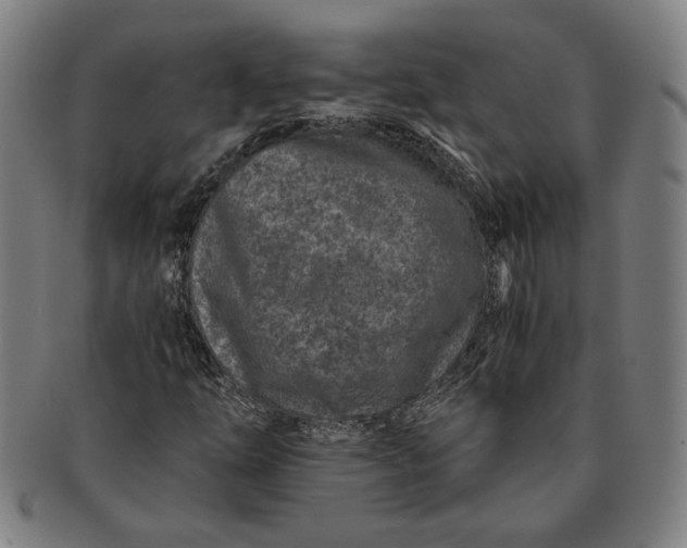 X0000091221254200708301443