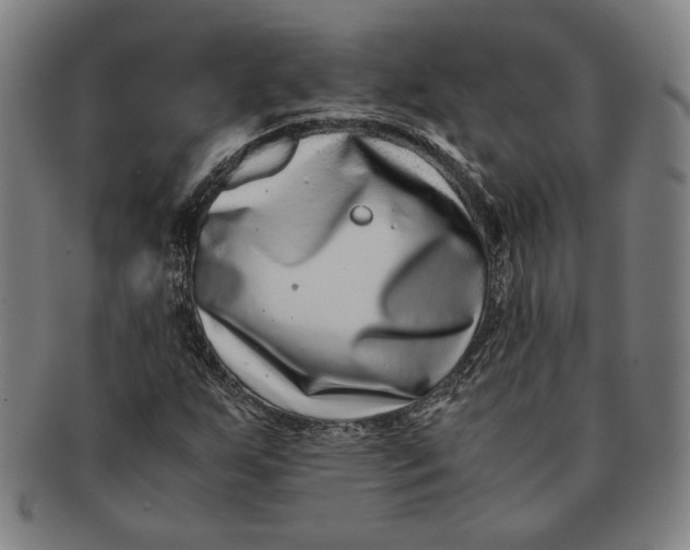 X0000091221255200708301443