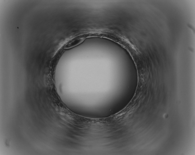 X0000091221256200708301443