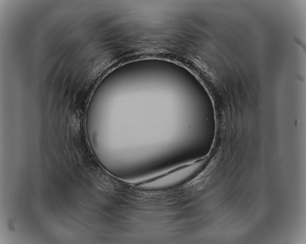 X0000091221257200708301443