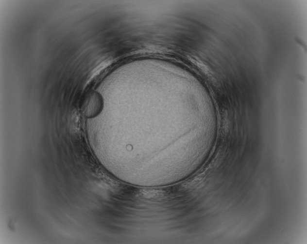 X0000091221258200708301443