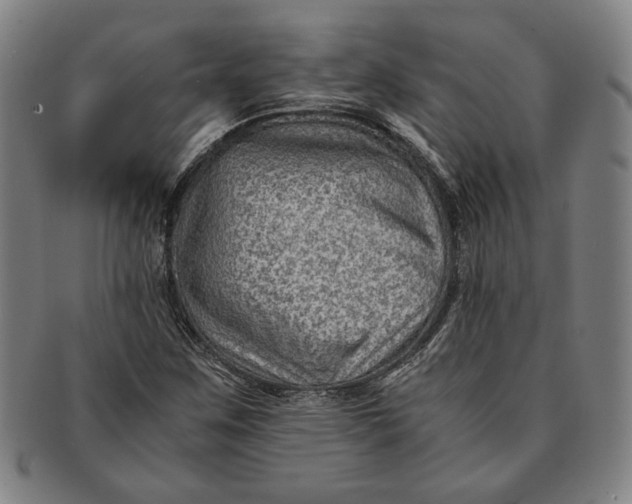 X0000091221259200708301443