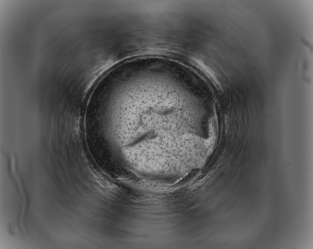 X0000091221260200708301443