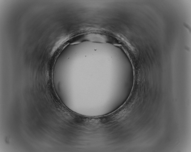 X0000091221261200708301443