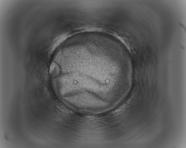 X0000091221263200708301443