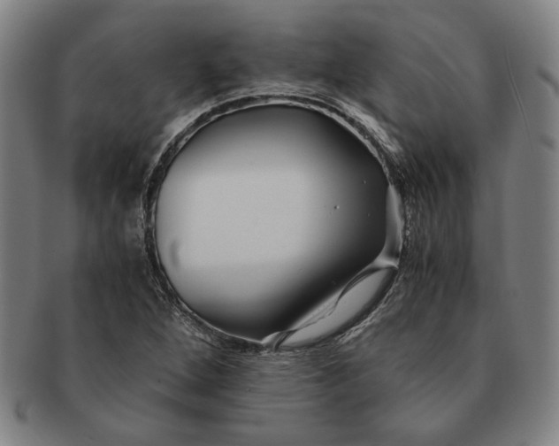 X0000091221264200708301443