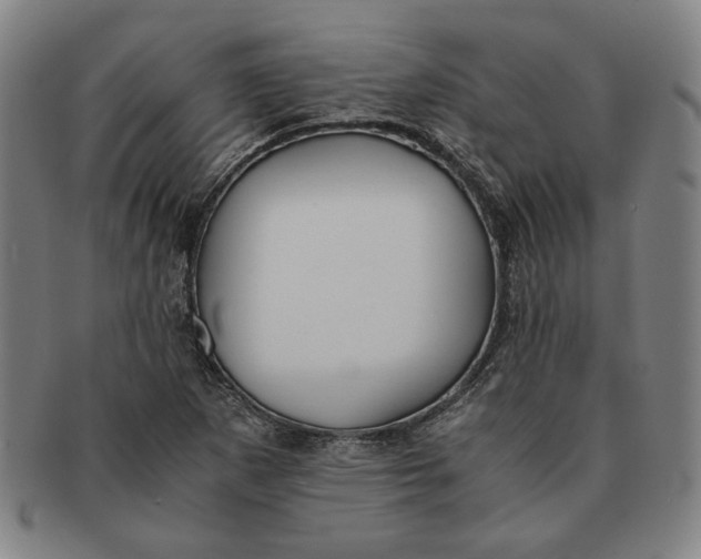 X0000091221265200708301443