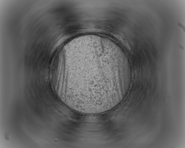 X0000091221266200708301443