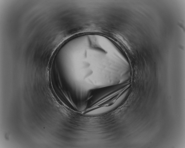 X0000091221268200708301443