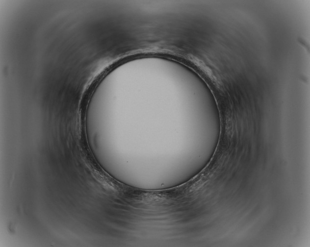 X0000091221270200708301443