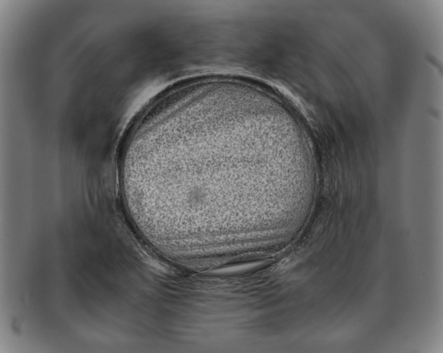 X0000091221271200708301443