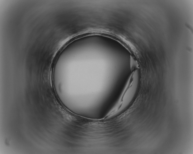 X0000091221272200708301443