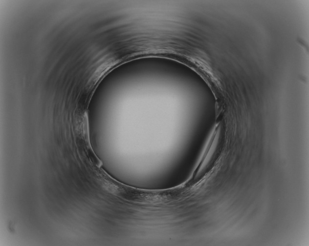 X0000091221273200708301443