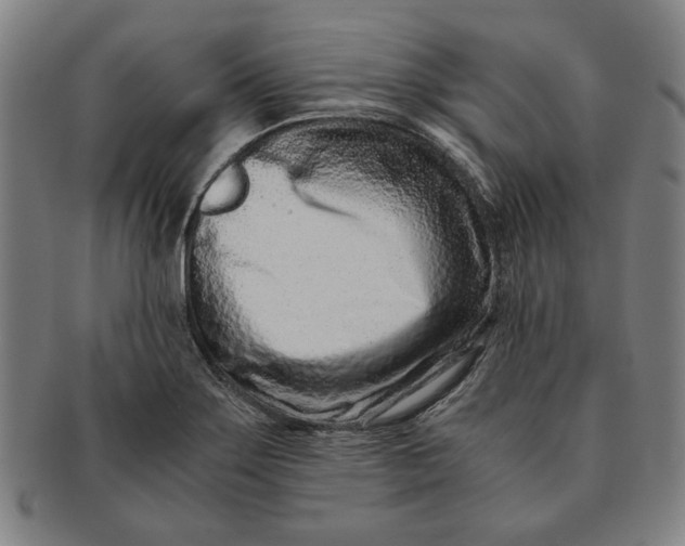 X0000091221275200708301443