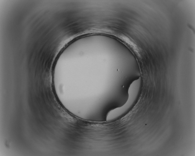 X0000091221280200708301443