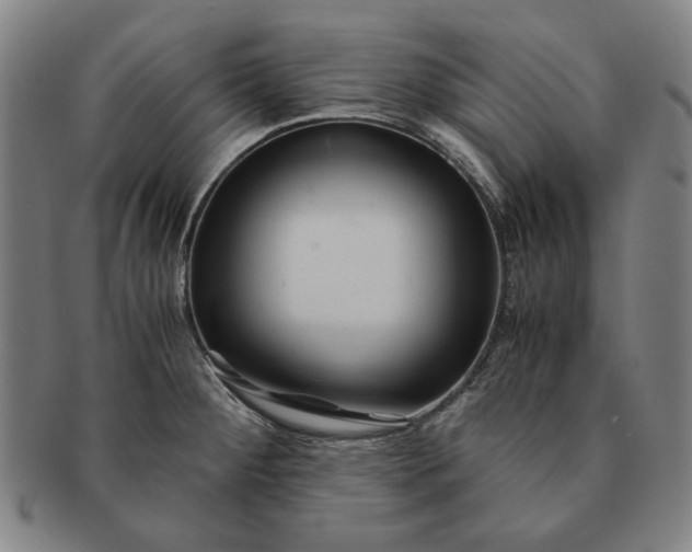 X0000091221284200708301443