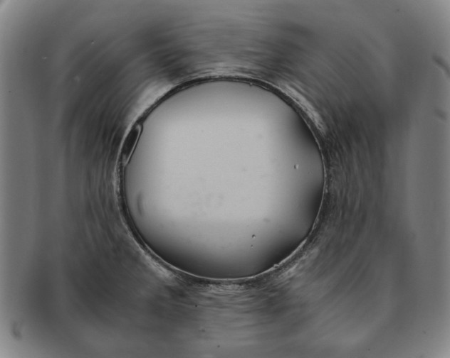 X0000091221285200708301443