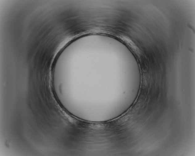 X0000091221286200708301443