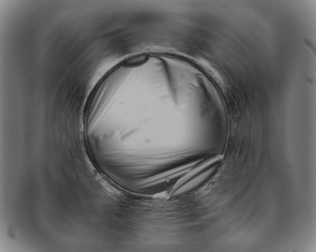 X0000091221287200708301443