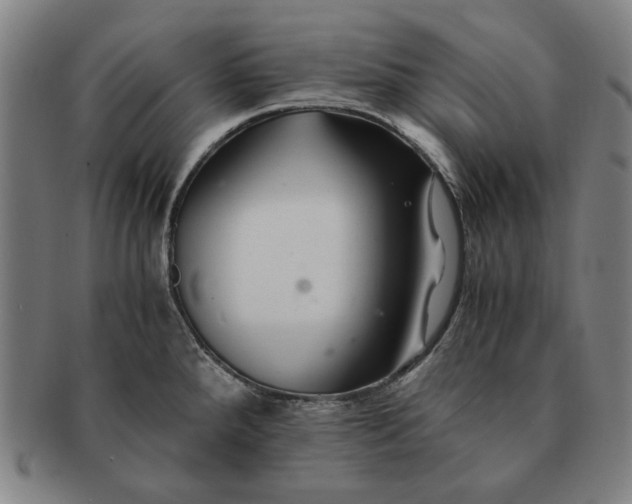 X0000091221288200708301443