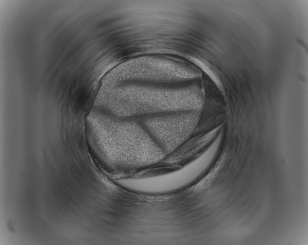 X0000091221289200708301443