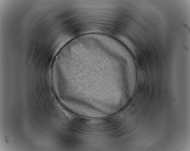 X0000091221290200708301443