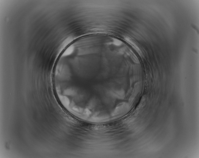 X0000091221291200708301443