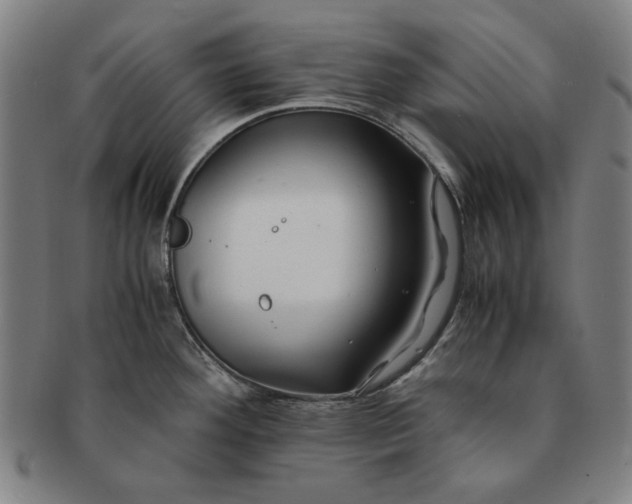 X0000091221292200708301443