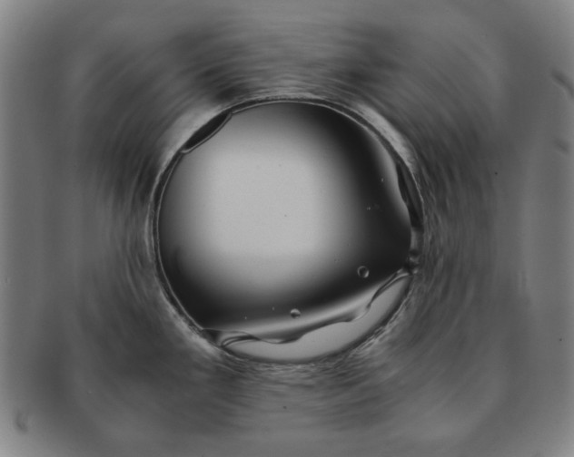 X0000091221293200708301443