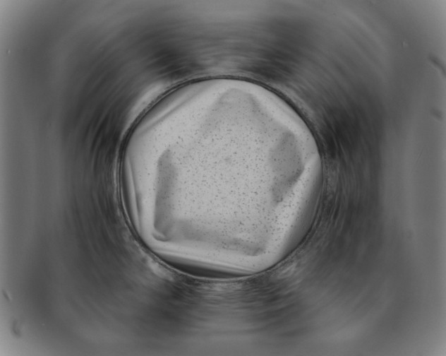 X0000091221294200708301443