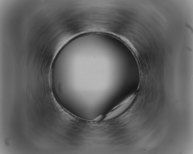 X0000091221295200708301443