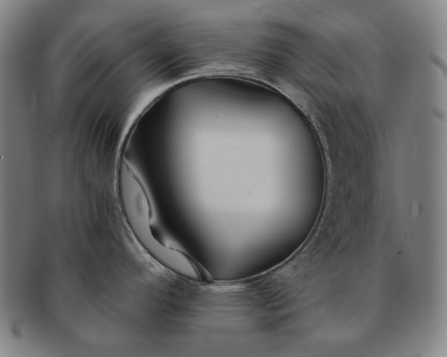 X0000091221296200708301443