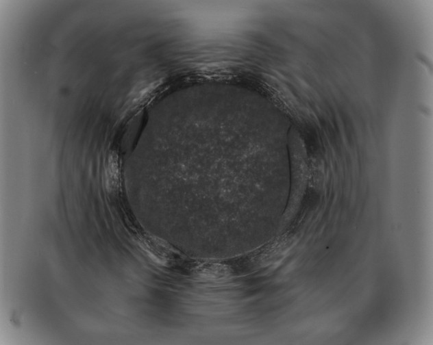 X0000091221298200708301442