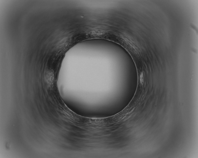 X0000091221299200708301442