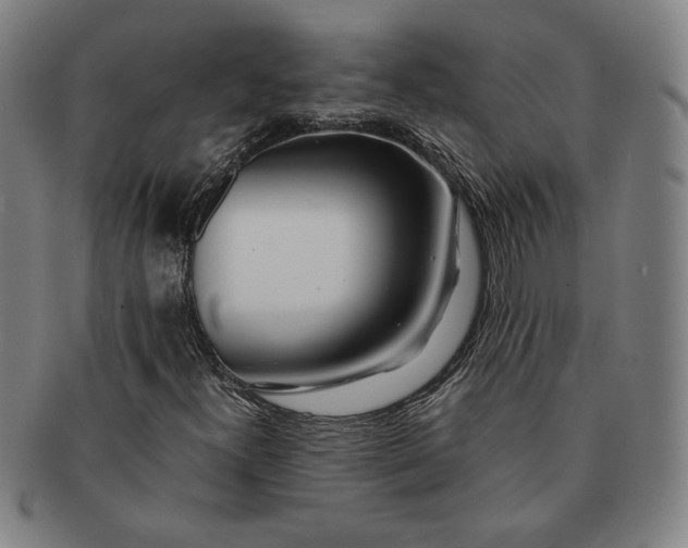 X0000091221300200708301442