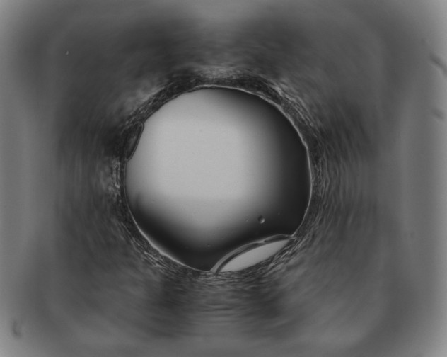 X0000091221301200708301442