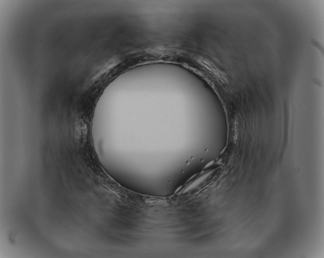 X0000091221302200708301442