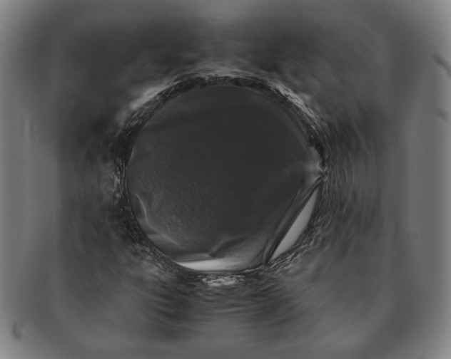 X0000091221303200708301442