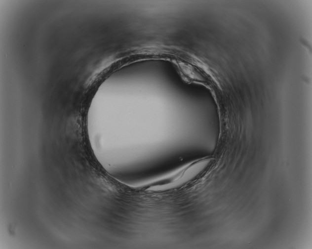 X0000091221304200708301442