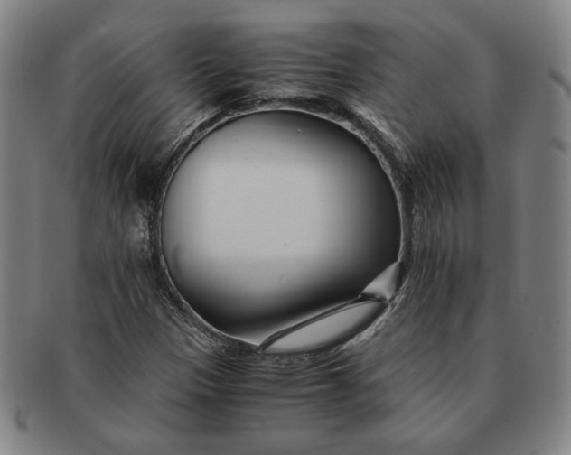 X0000091221305200708301442