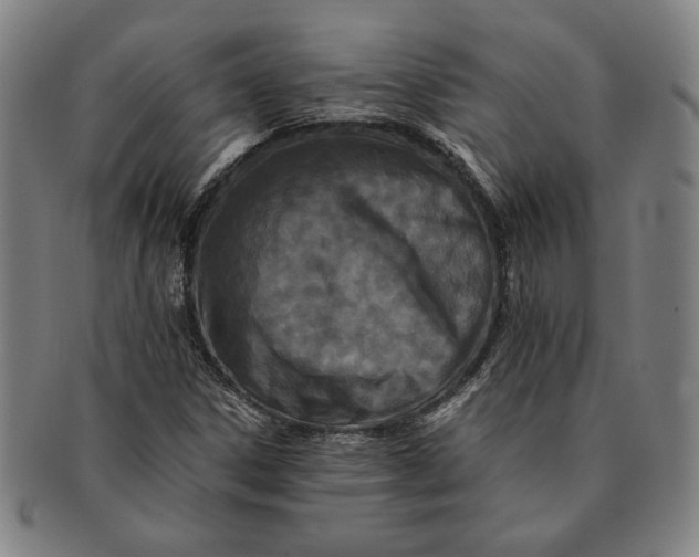 X0000091221306200708301442